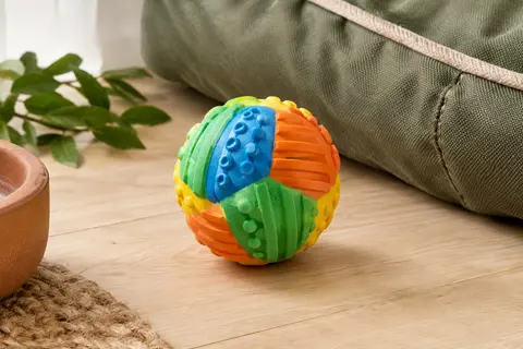 Balle pour chien Aimé en plastique multicolore, avec reliefs rainurés et format sphérique compact.