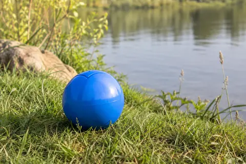 Balle de poursuite bleue en plastique posée sur une pelouse près d’un point d’eau