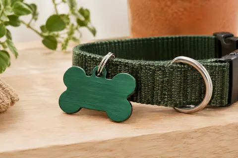 Médaille d’identification en aluminium vert profond, en forme d’os et à finition brossée, posée près d’un collier.