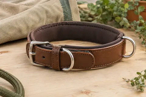 Collier rembourré marron en cuir PU avec boucle métallique et deux anneaux en D