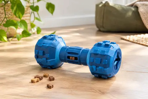Jouet à mâcher bleu pour chien, texturé et de forme géométrique, posé près de quelques friandises.