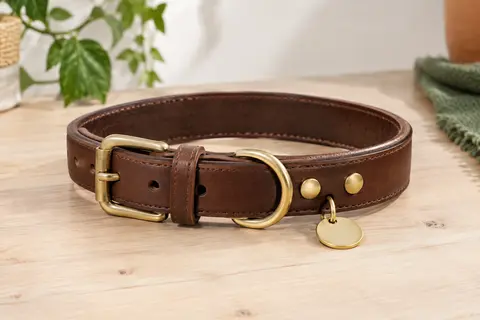 Collier marron en cuir pour chien avec boucle en alliage, anneaux métalliques et plaque dorée