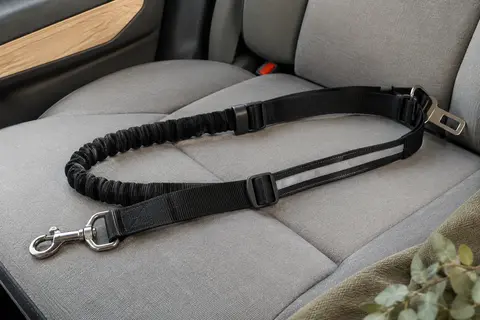 Ceinture de sécurité noire pour chien avec sangle élastique, bande réfléchissante et attaches métalliques.